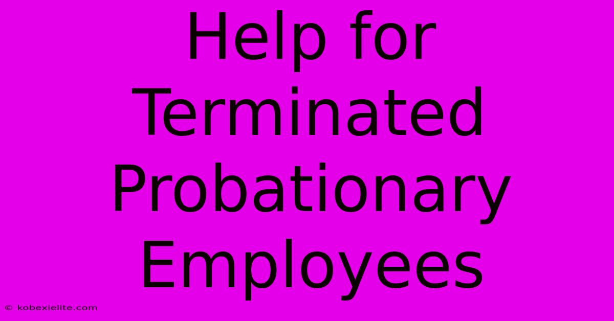 Help For Terminated Probationary Employees