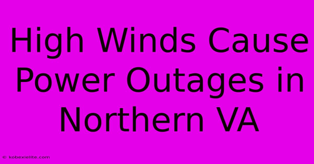 High Winds Cause Power Outages In Northern VA