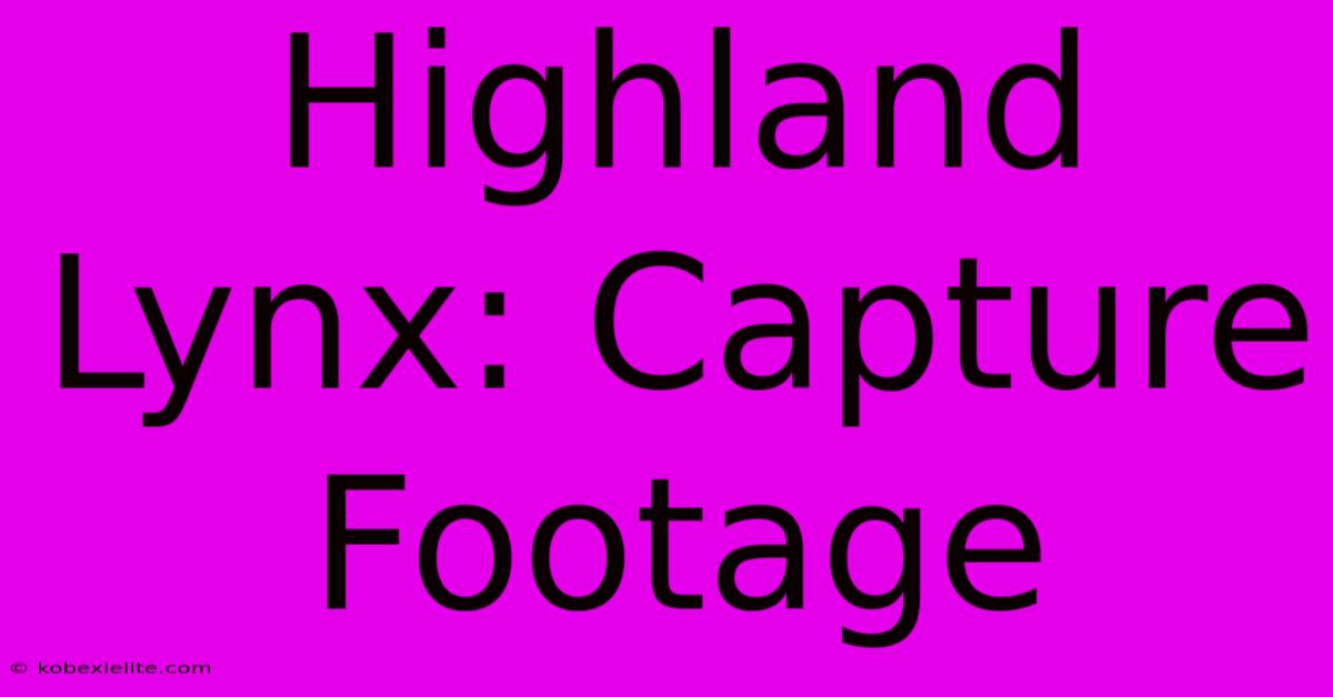 Highland Lynx: Capture Footage