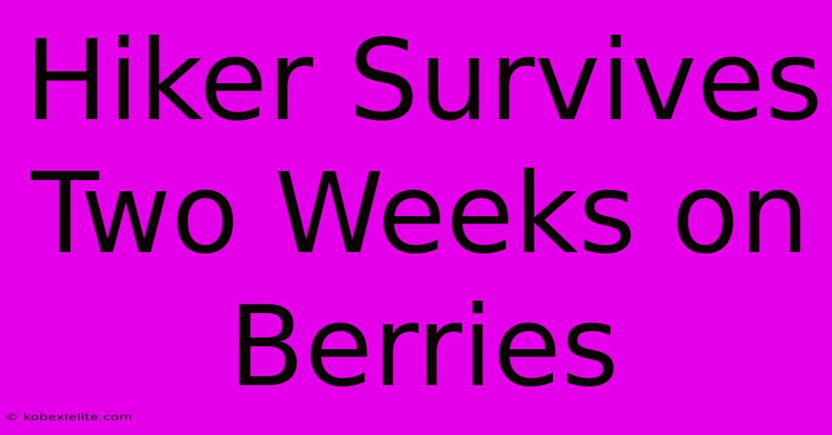 Hiker Survives Two Weeks On Berries