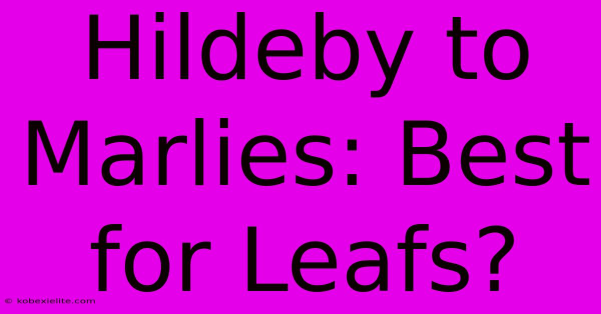 Hildeby To Marlies: Best For Leafs?