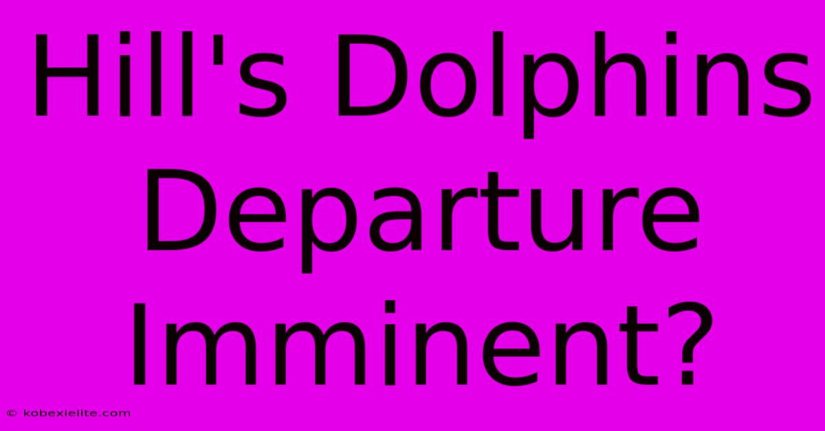 Hill's Dolphins Departure Imminent?