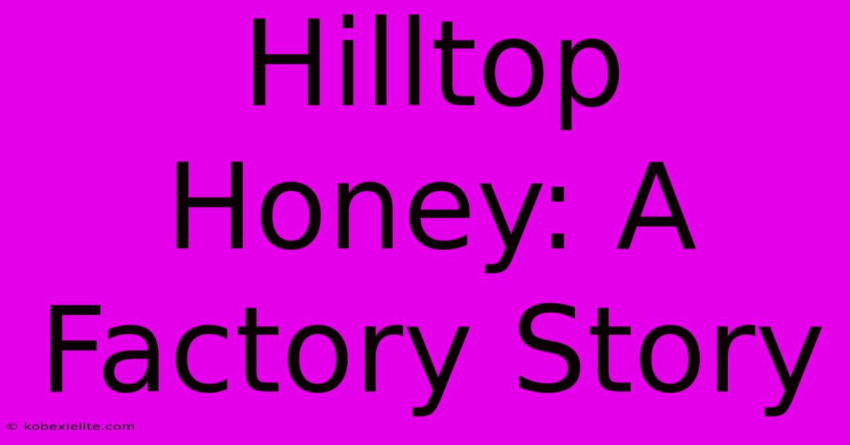 Hilltop Honey: A Factory Story