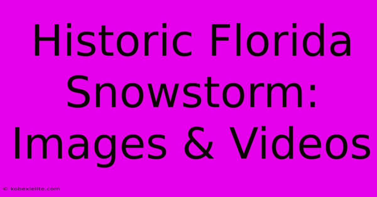 Historic Florida Snowstorm: Images & Videos