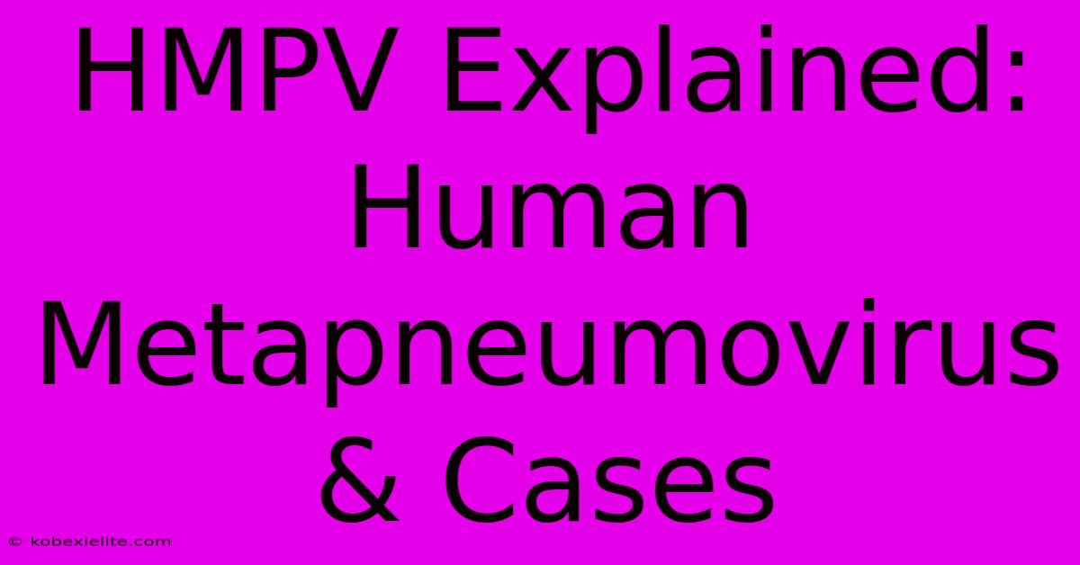 HMPV Explained: Human Metapneumovirus & Cases