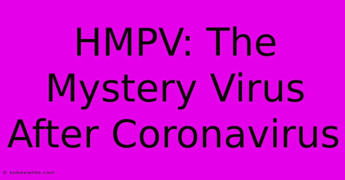 HMPV: The Mystery Virus After Coronavirus