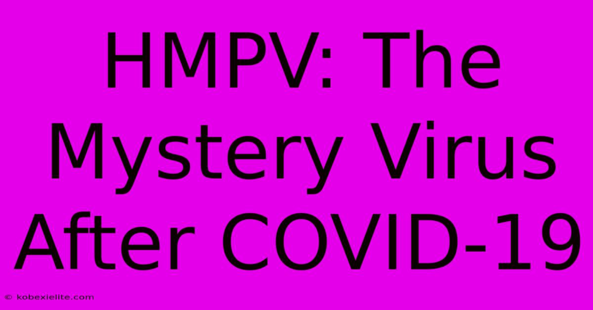 HMPV: The Mystery Virus After COVID-19