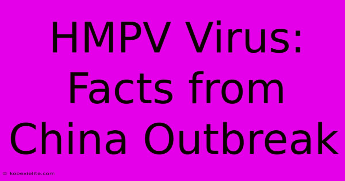 HMPV Virus: Facts From China Outbreak