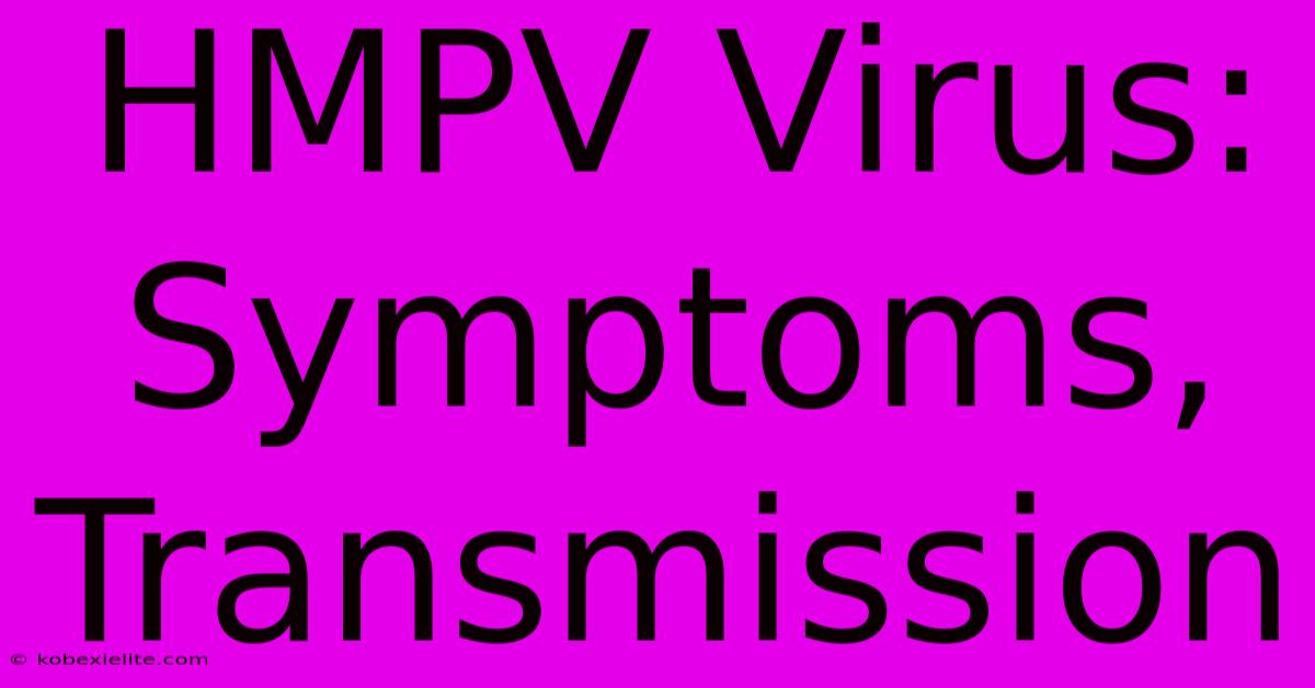 HMPV Virus: Symptoms, Transmission