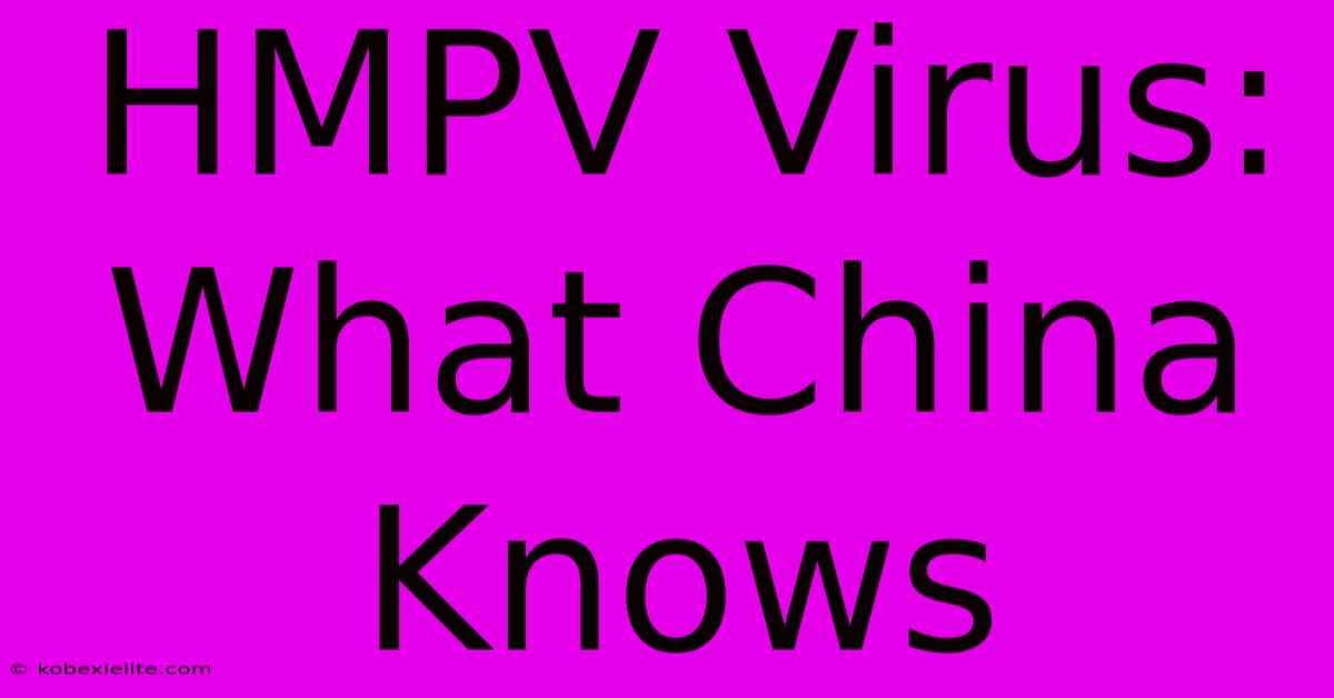 HMPV Virus: What China Knows