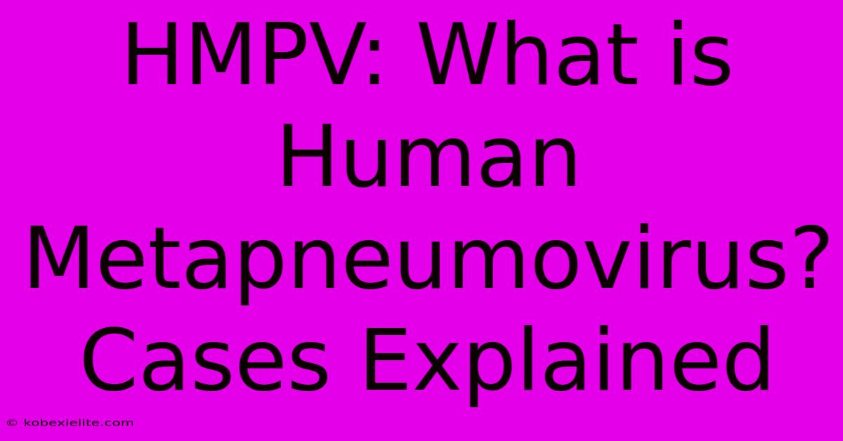 HMPV: What Is Human Metapneumovirus? Cases Explained