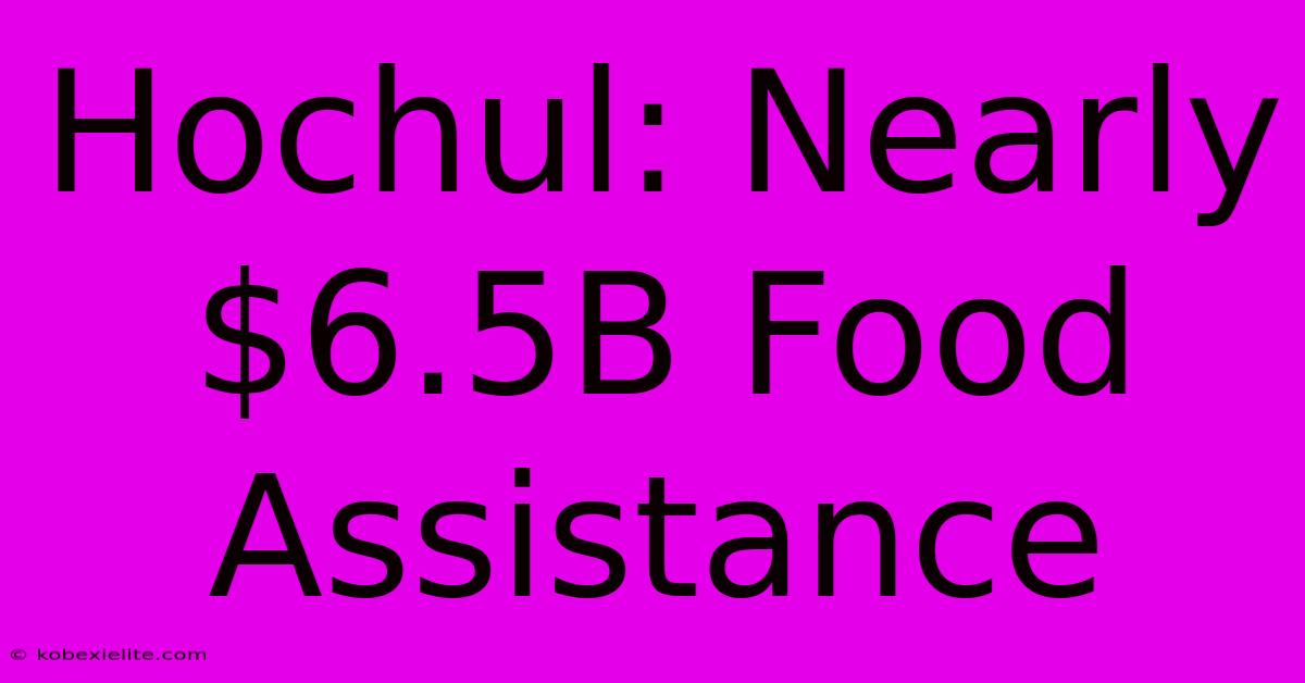 Hochul: Nearly $6.5B Food Assistance