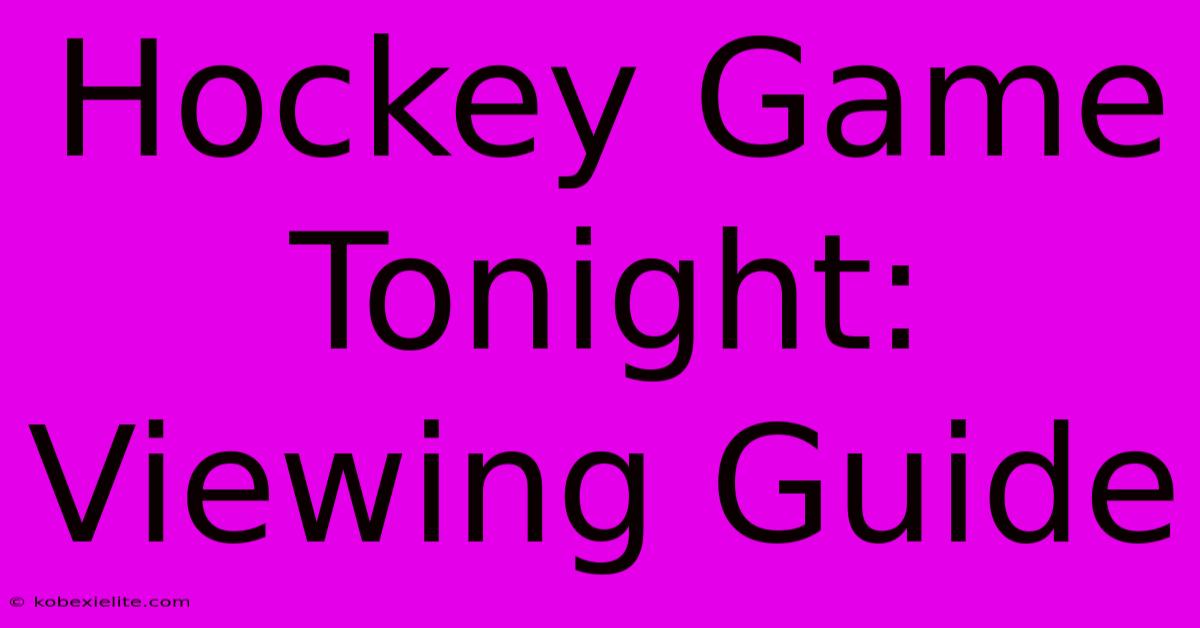 Hockey Game Tonight: Viewing Guide