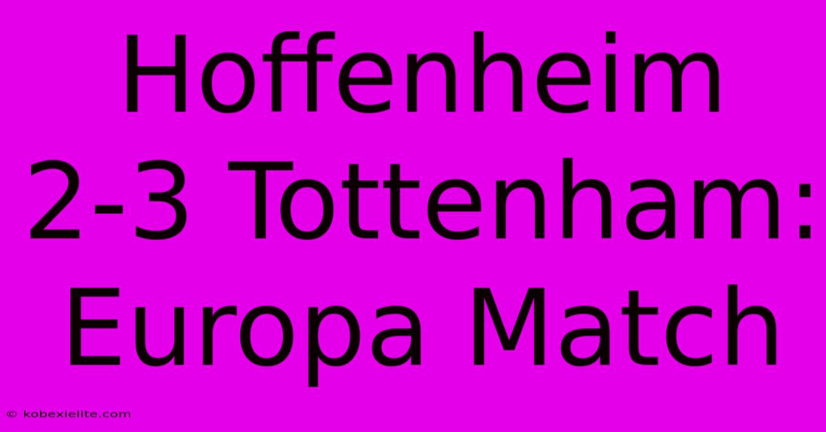 Hoffenheim 2-3 Tottenham: Europa Match