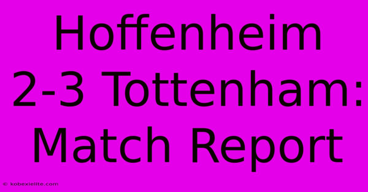 Hoffenheim 2-3 Tottenham: Match Report