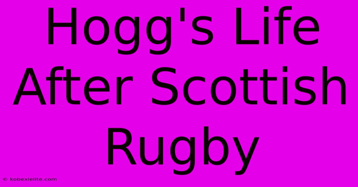 Hogg's Life After Scottish Rugby