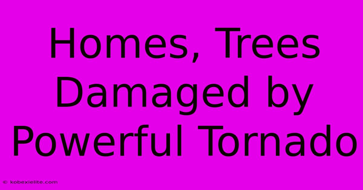 Homes, Trees Damaged By Powerful Tornado