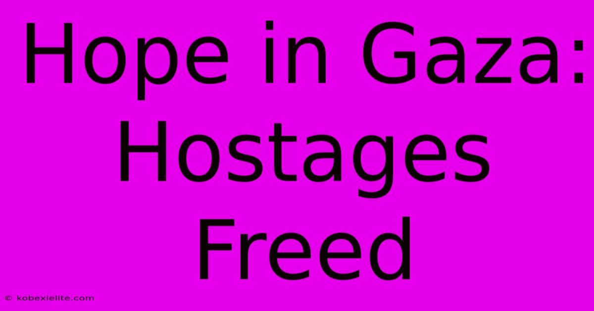 Hope In Gaza: Hostages Freed