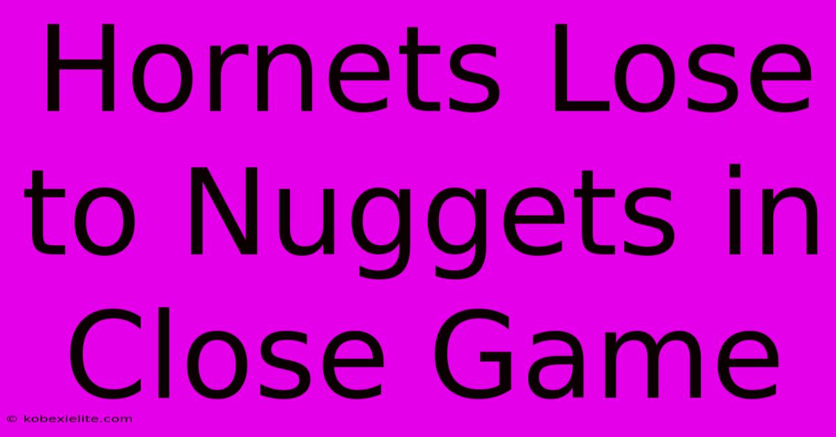 Hornets Lose To Nuggets In Close Game