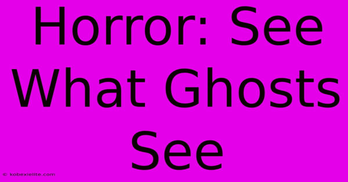 Horror: See What Ghosts See