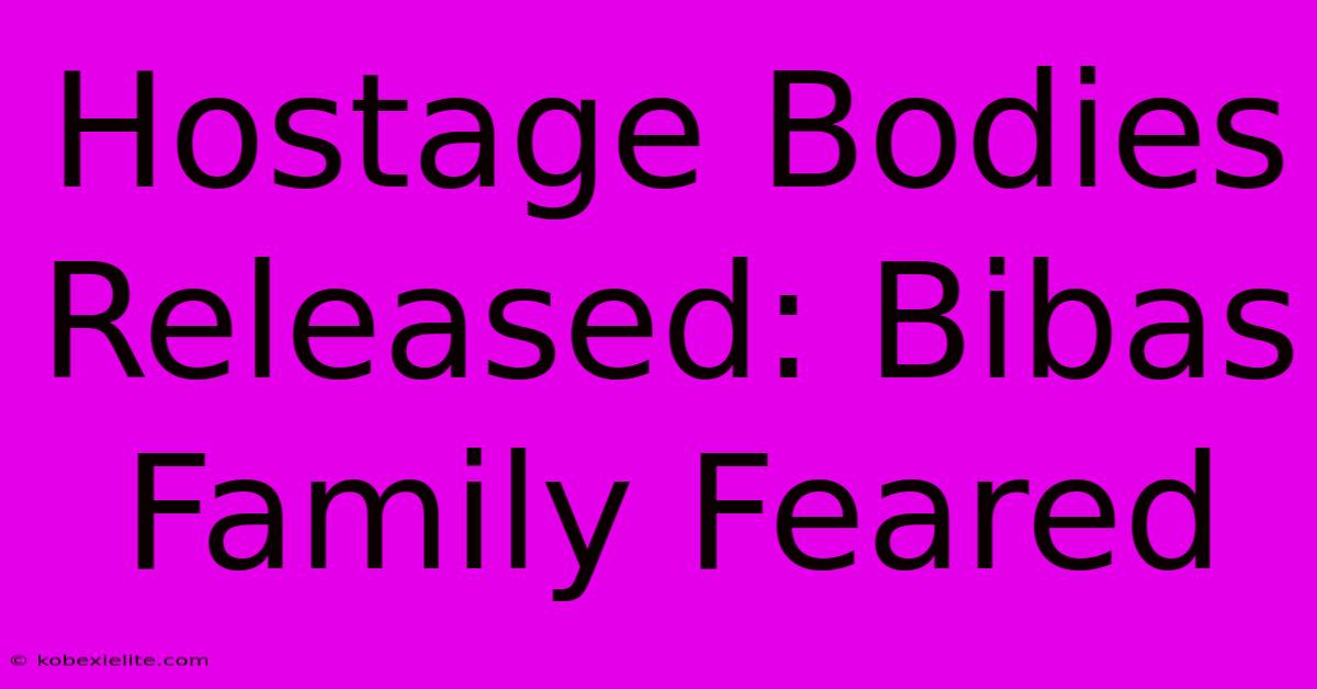 Hostage Bodies Released: Bibas Family Feared