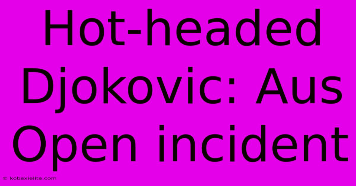 Hot-headed Djokovic: Aus Open Incident