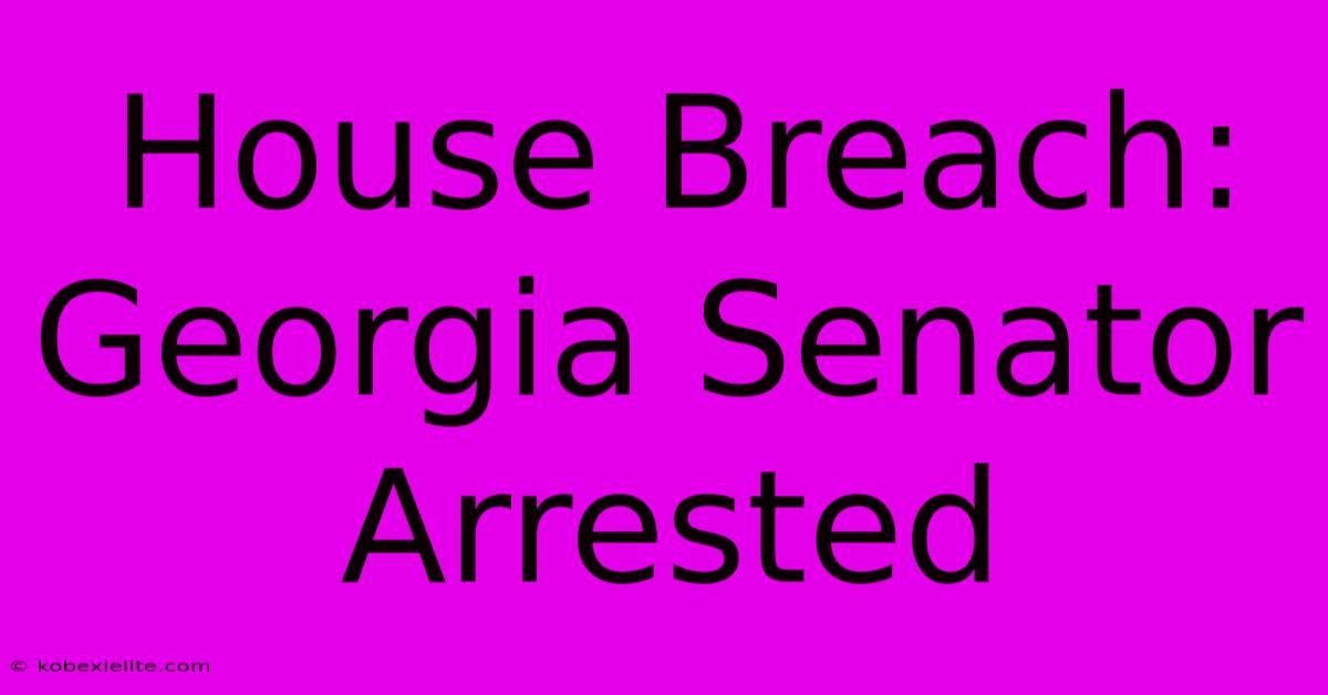 House Breach: Georgia Senator Arrested