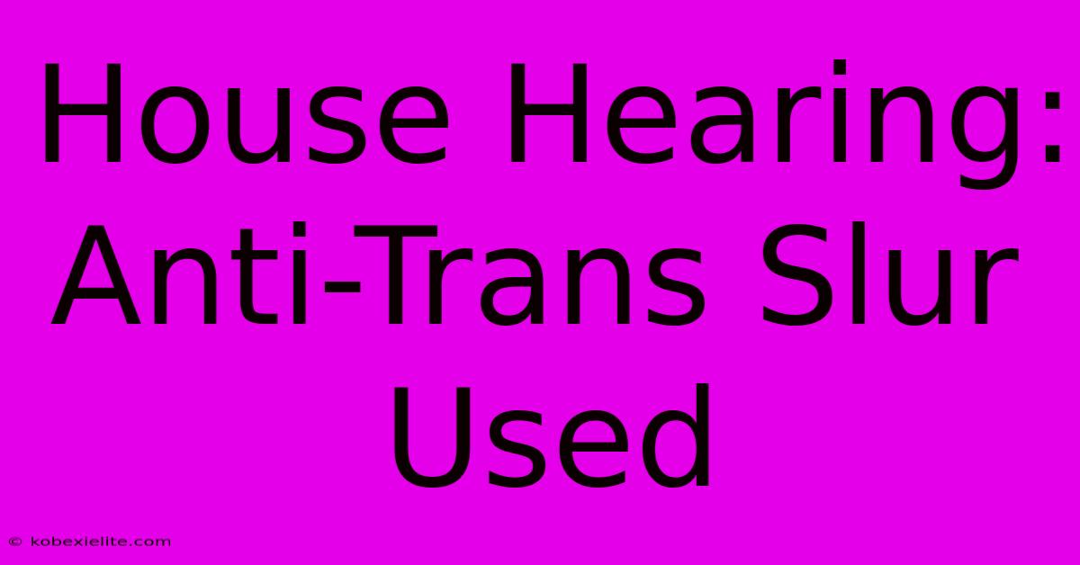 House Hearing: Anti-Trans Slur Used