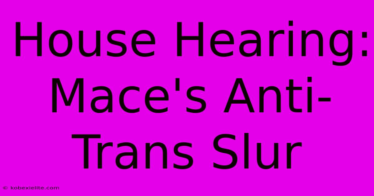 House Hearing: Mace's Anti-Trans Slur