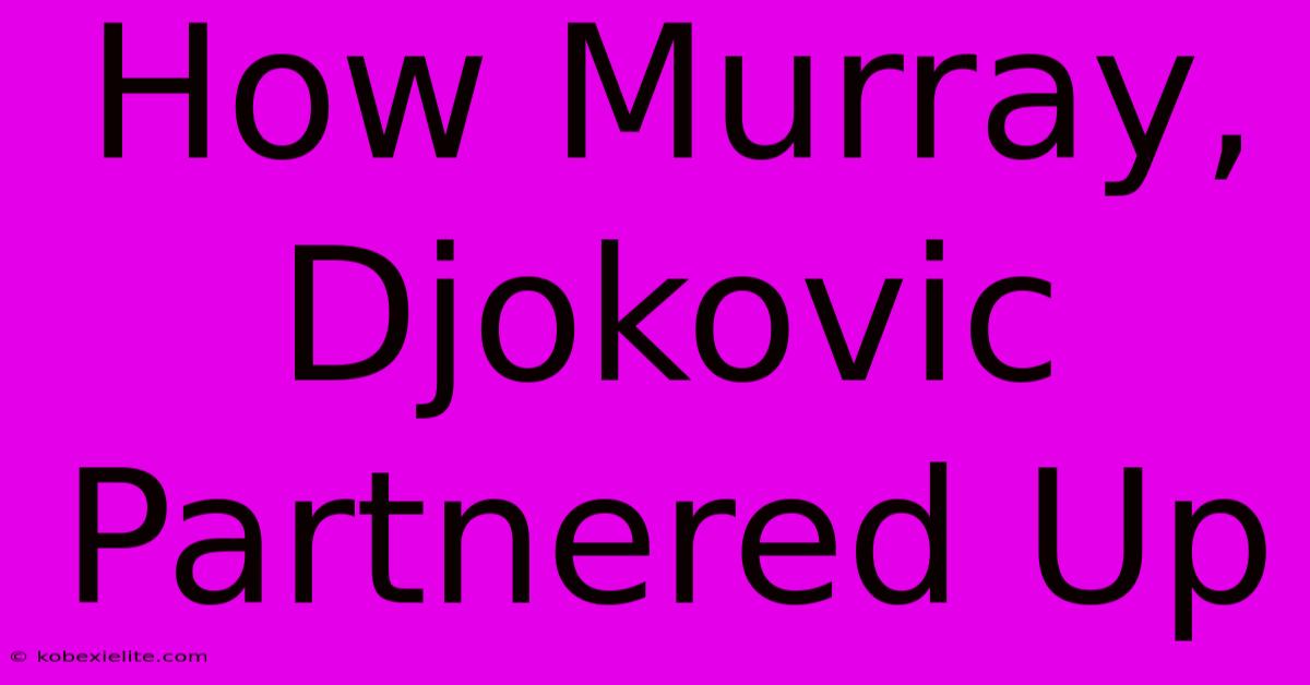 How Murray, Djokovic Partnered Up