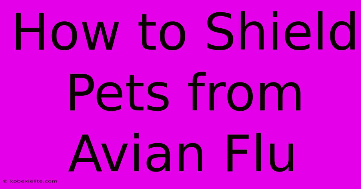 How To Shield Pets From Avian Flu