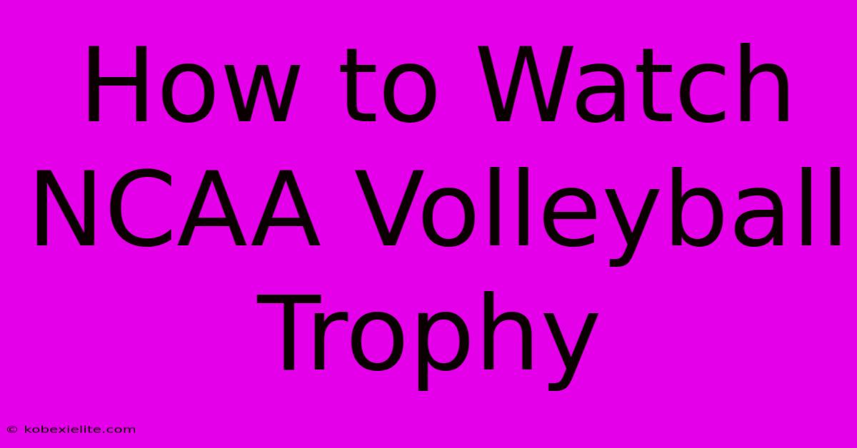 How To Watch NCAA Volleyball Trophy