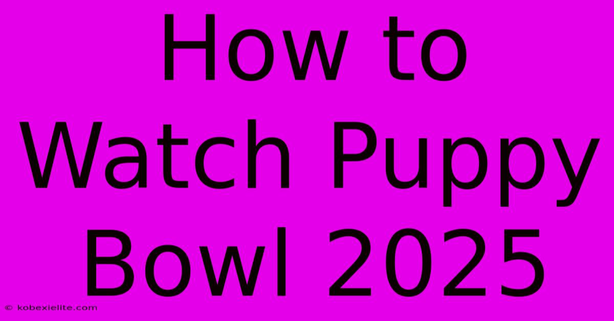 How To Watch Puppy Bowl 2025