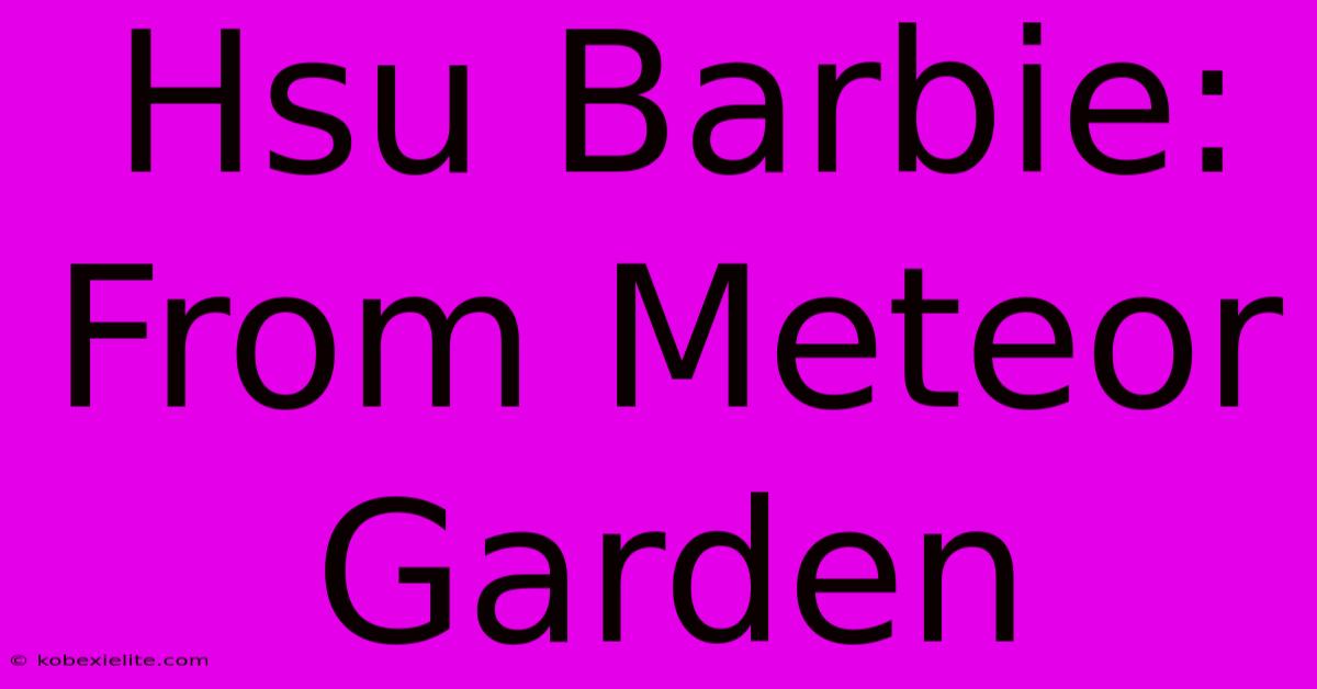 Hsu Barbie: From Meteor Garden