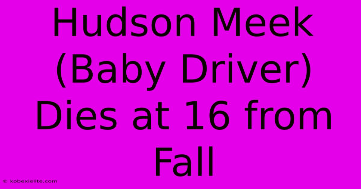 Hudson Meek (Baby Driver) Dies At 16 From Fall