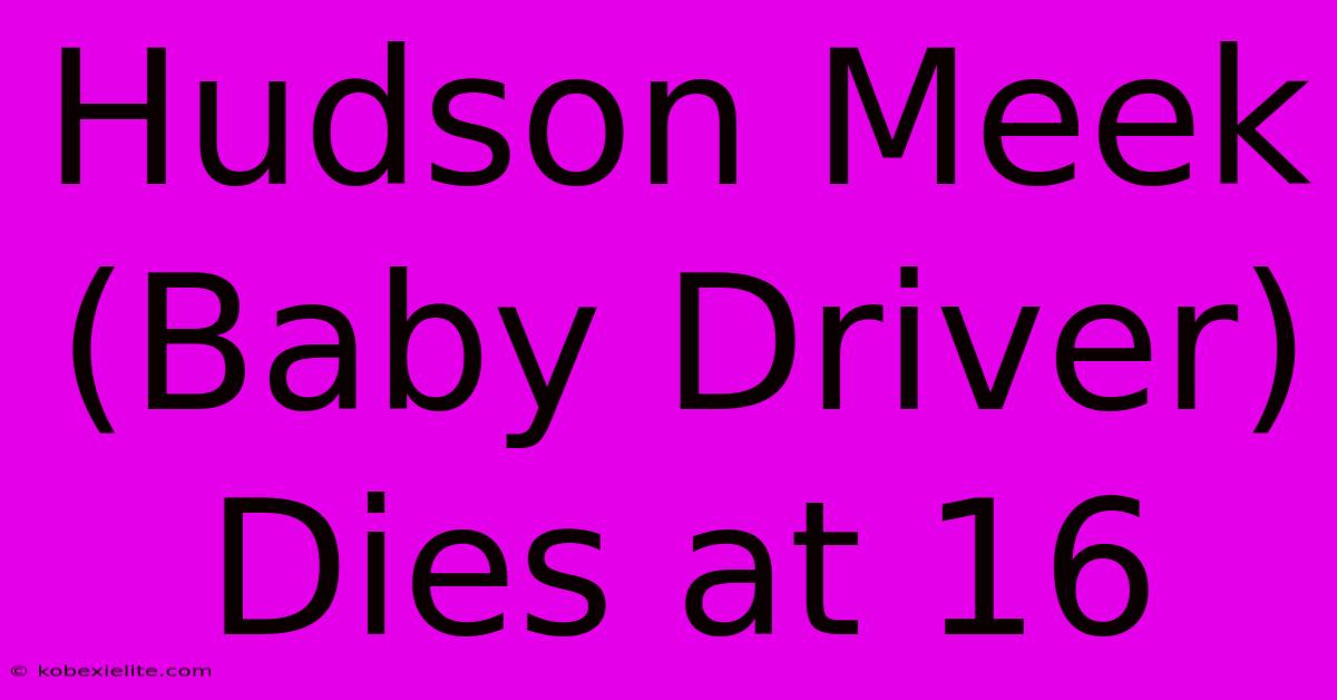 Hudson Meek (Baby Driver) Dies At 16