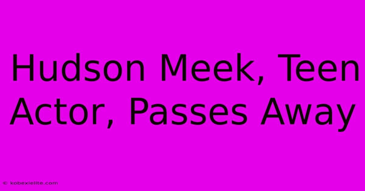 Hudson Meek, Teen Actor, Passes Away