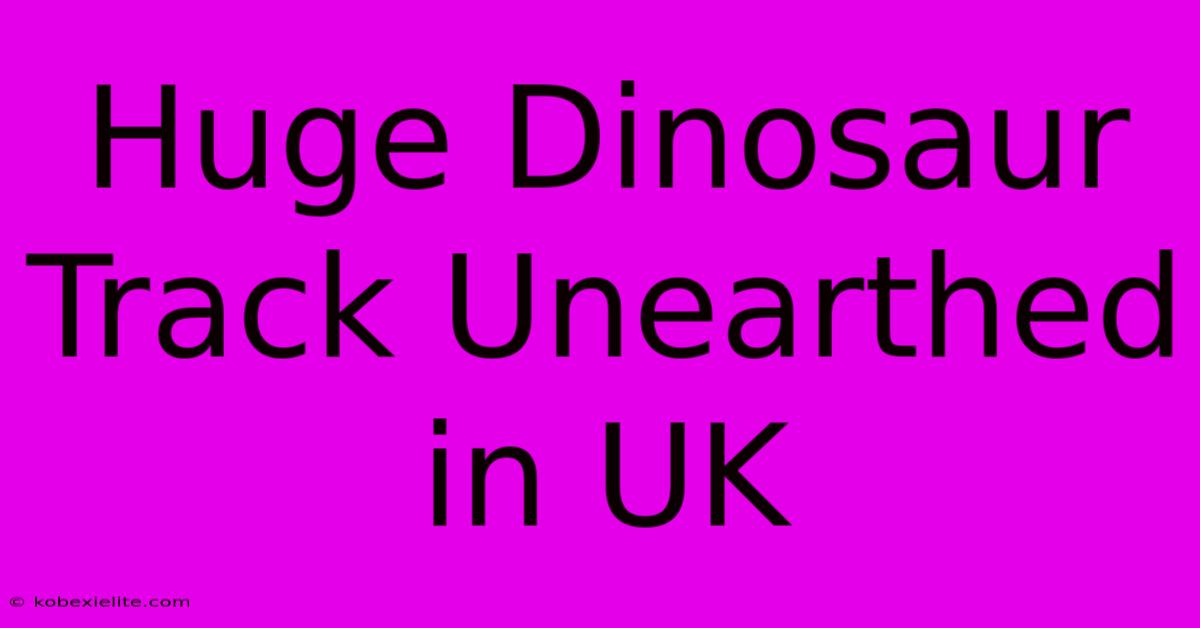 Huge Dinosaur Track Unearthed In UK