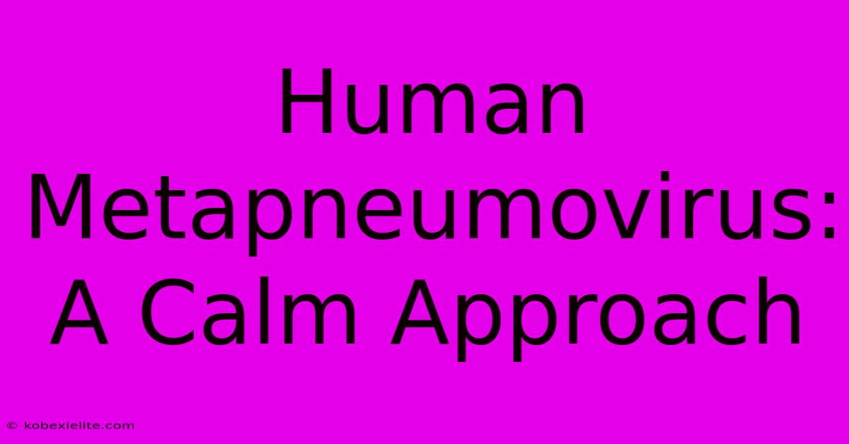 Human Metapneumovirus: A Calm Approach