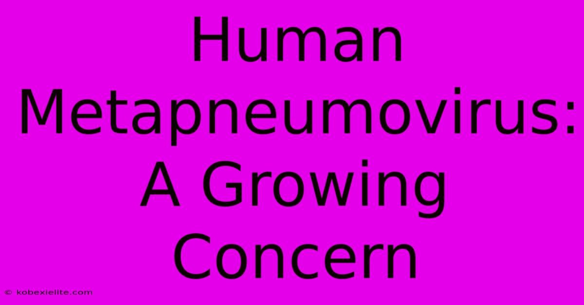 Human Metapneumovirus: A Growing Concern