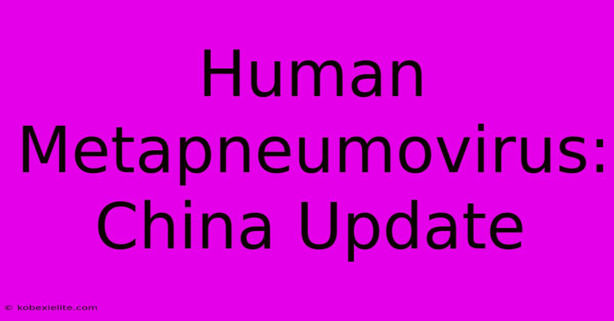 Human Metapneumovirus: China Update