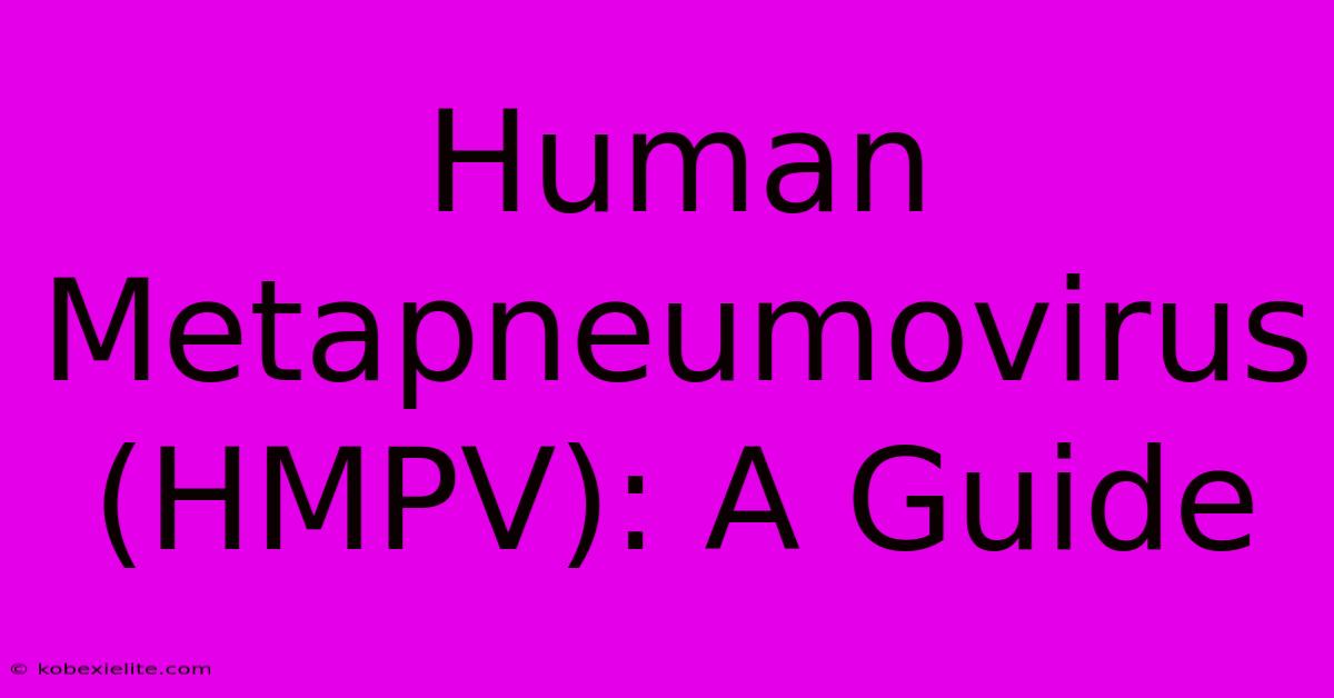 Human Metapneumovirus (HMPV): A Guide