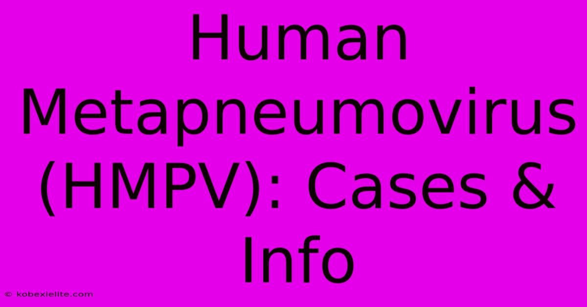 Human Metapneumovirus (HMPV): Cases & Info