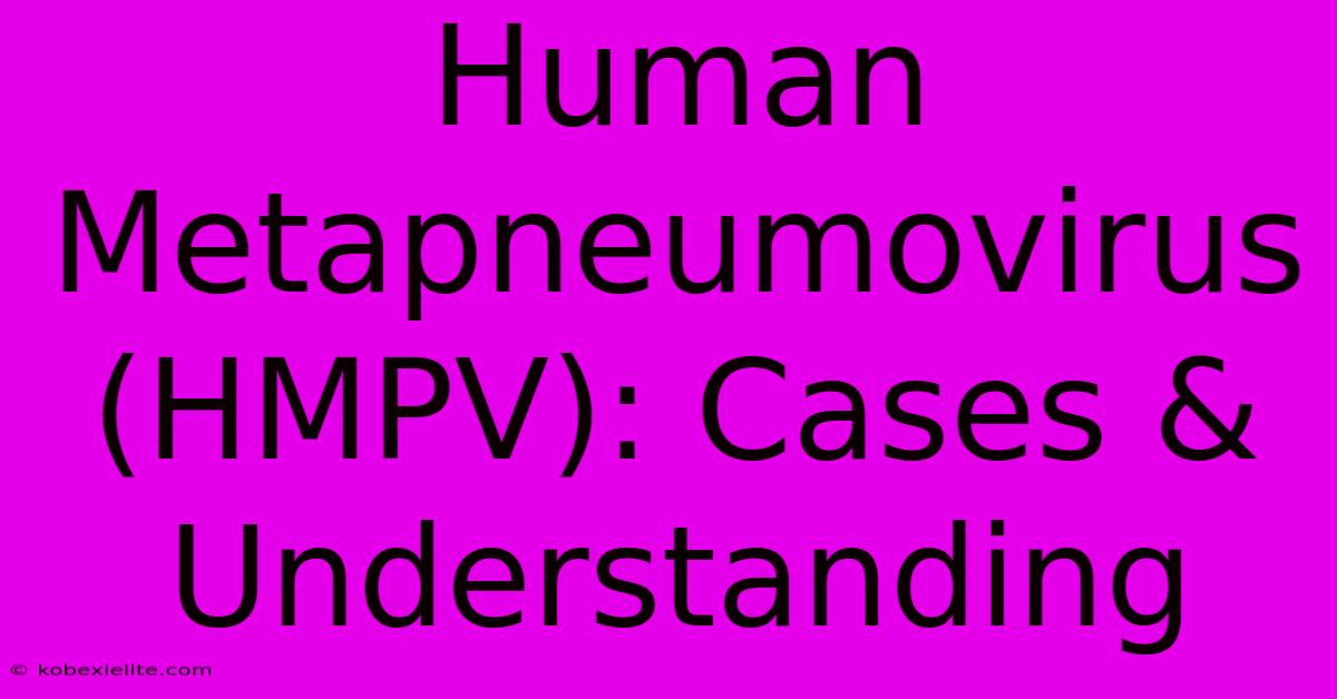 Human Metapneumovirus (HMPV): Cases & Understanding