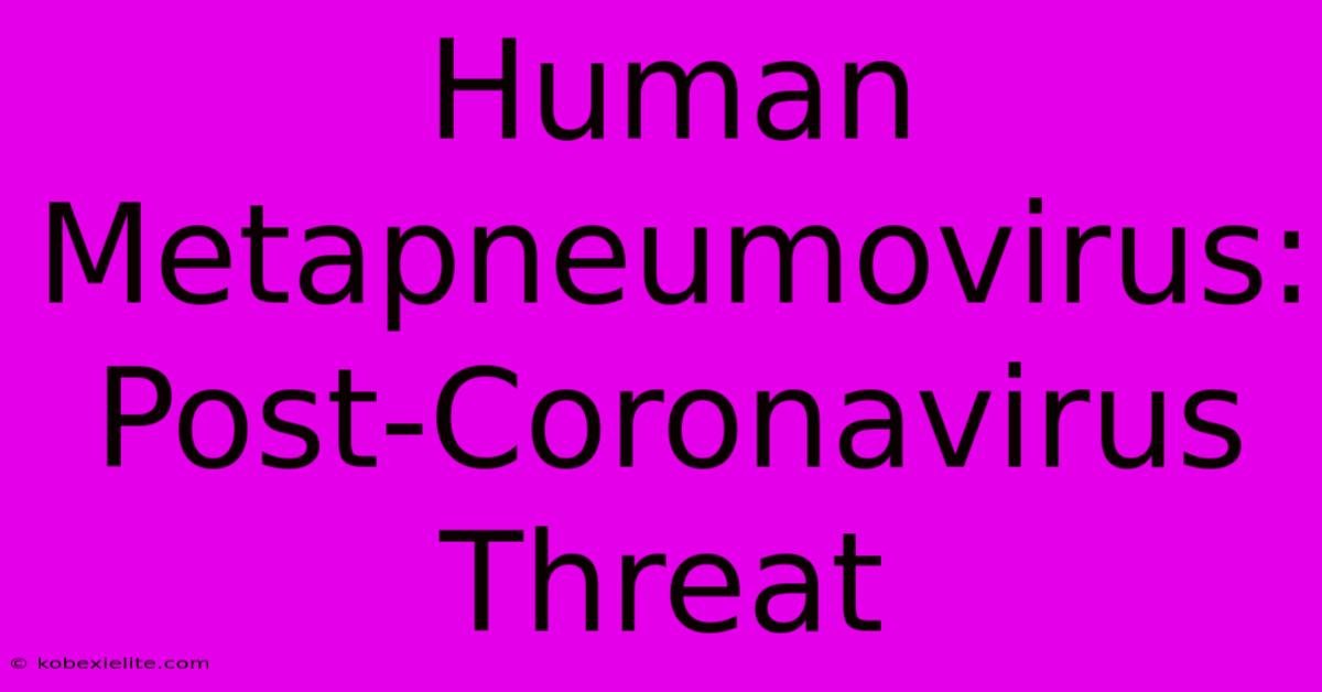 Human Metapneumovirus: Post-Coronavirus Threat