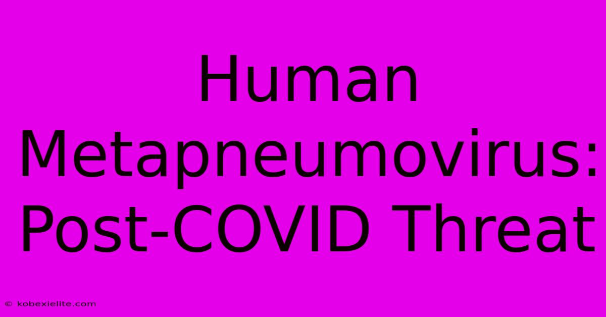 Human Metapneumovirus: Post-COVID Threat