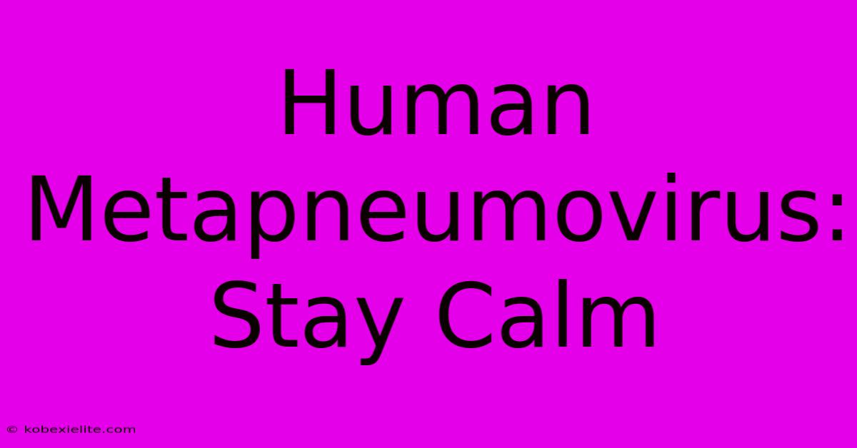 Human Metapneumovirus: Stay Calm