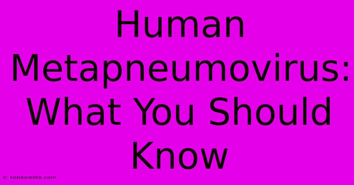 Human Metapneumovirus: What You Should Know