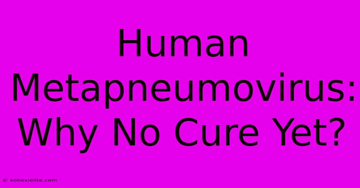 Human Metapneumovirus: Why No Cure Yet?