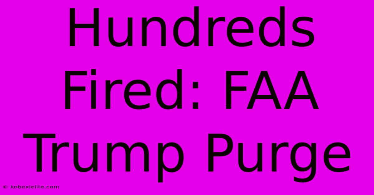 Hundreds Fired: FAA Trump Purge